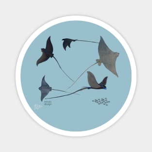 Eagle rays Magnet